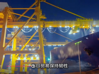 2025中国经济超强活力和超强韧性密码